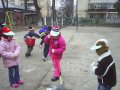 Ecologie12