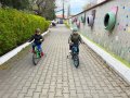 ZBicicletei (7)
