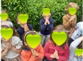 Zmediului6